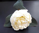 Capete de bujor artificial ivoire – material textil, diametru 9 cm, lungime 26 cm